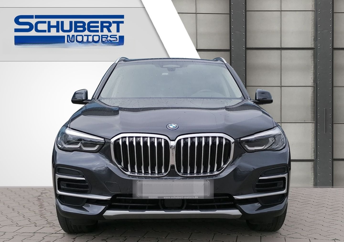 BMW X5 xDrive45e xLine Luftfederung Niveau Navi Lede foto 5