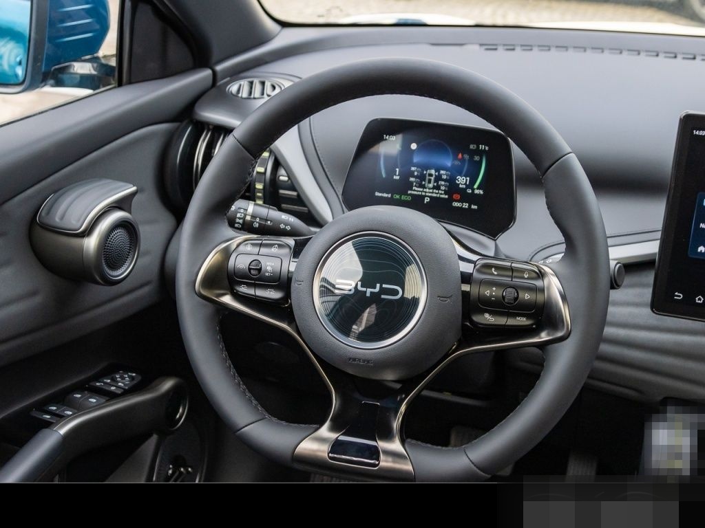 BYD ATTO 3 Comfort *TotW*Pano*LED*CarPlay*ACC*SitzHe foto 14