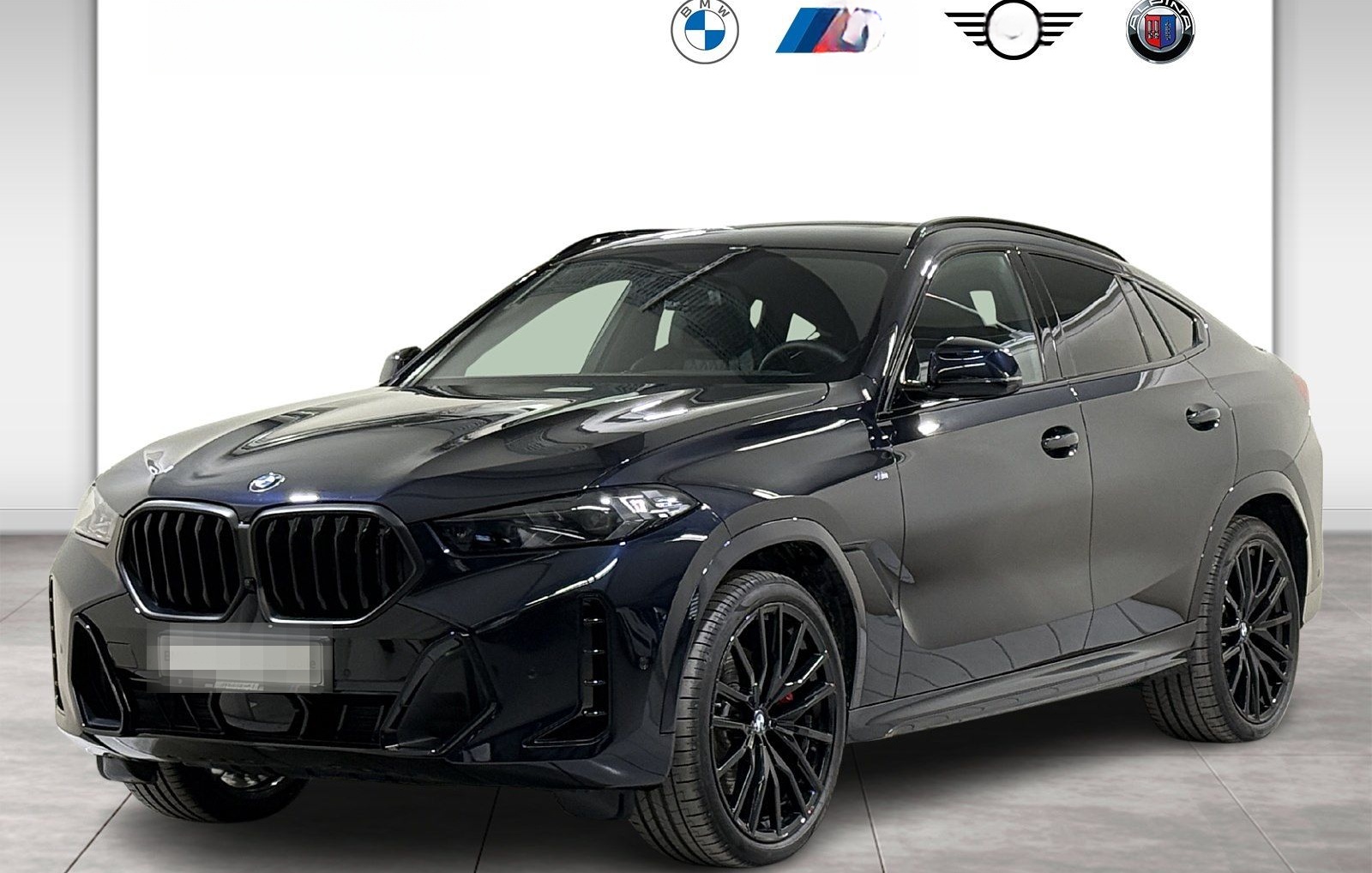 BMW X6 xDrive40d M Sportpaket Pro Luftfeder Standhzg