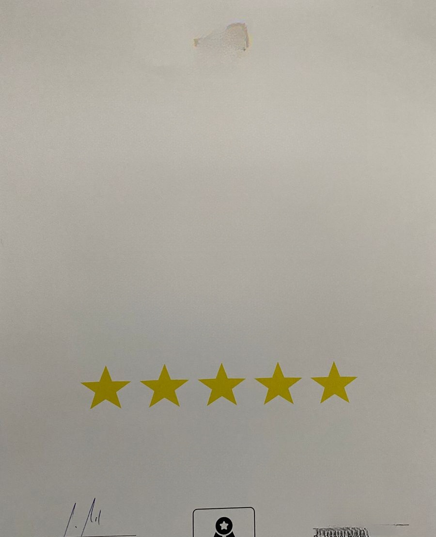 Volkswagen Golf  Syncro Country Allround mit Wertgutachten foto 14