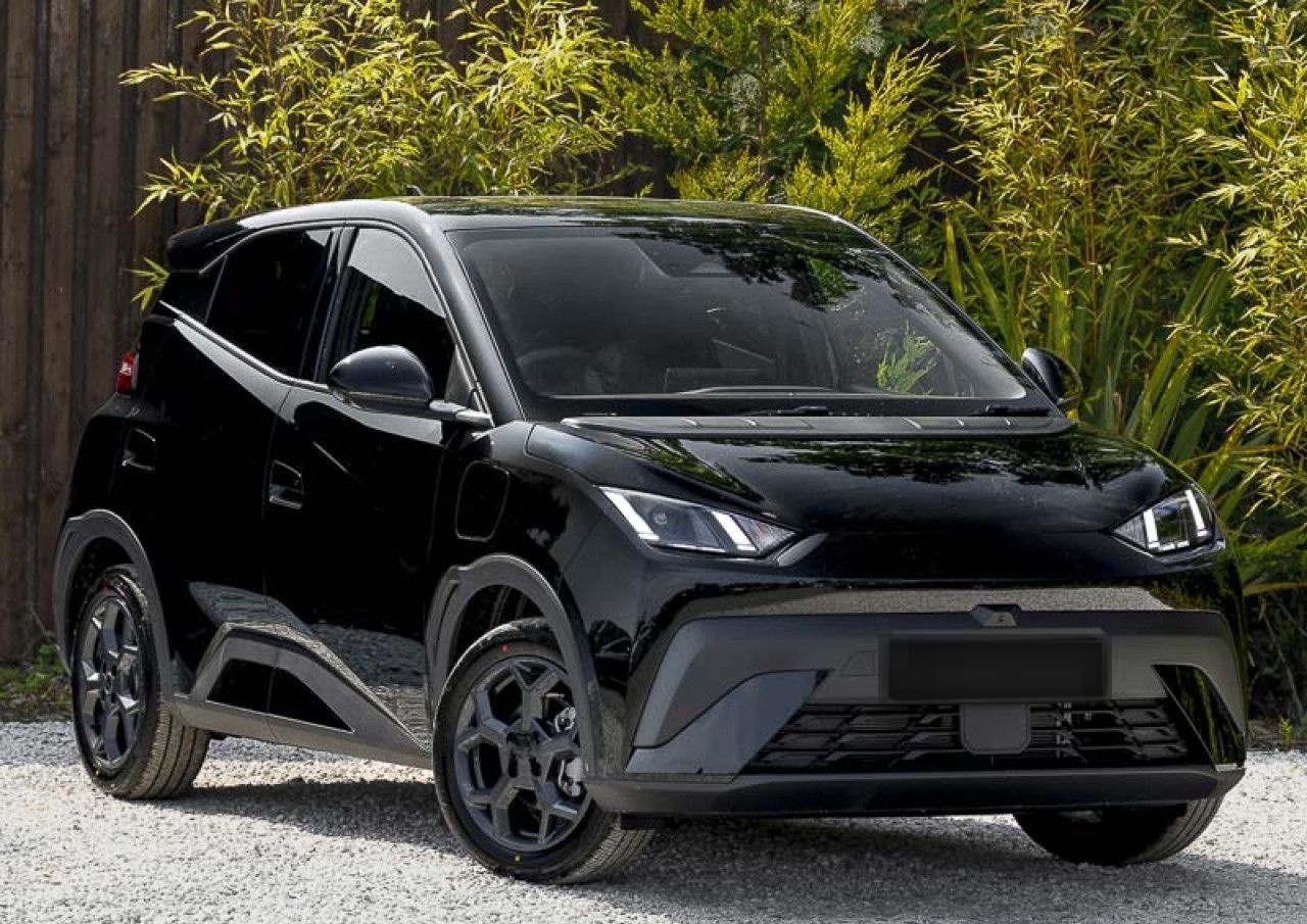 BYD DOLPHIN SURF Comfort LHD foto 2