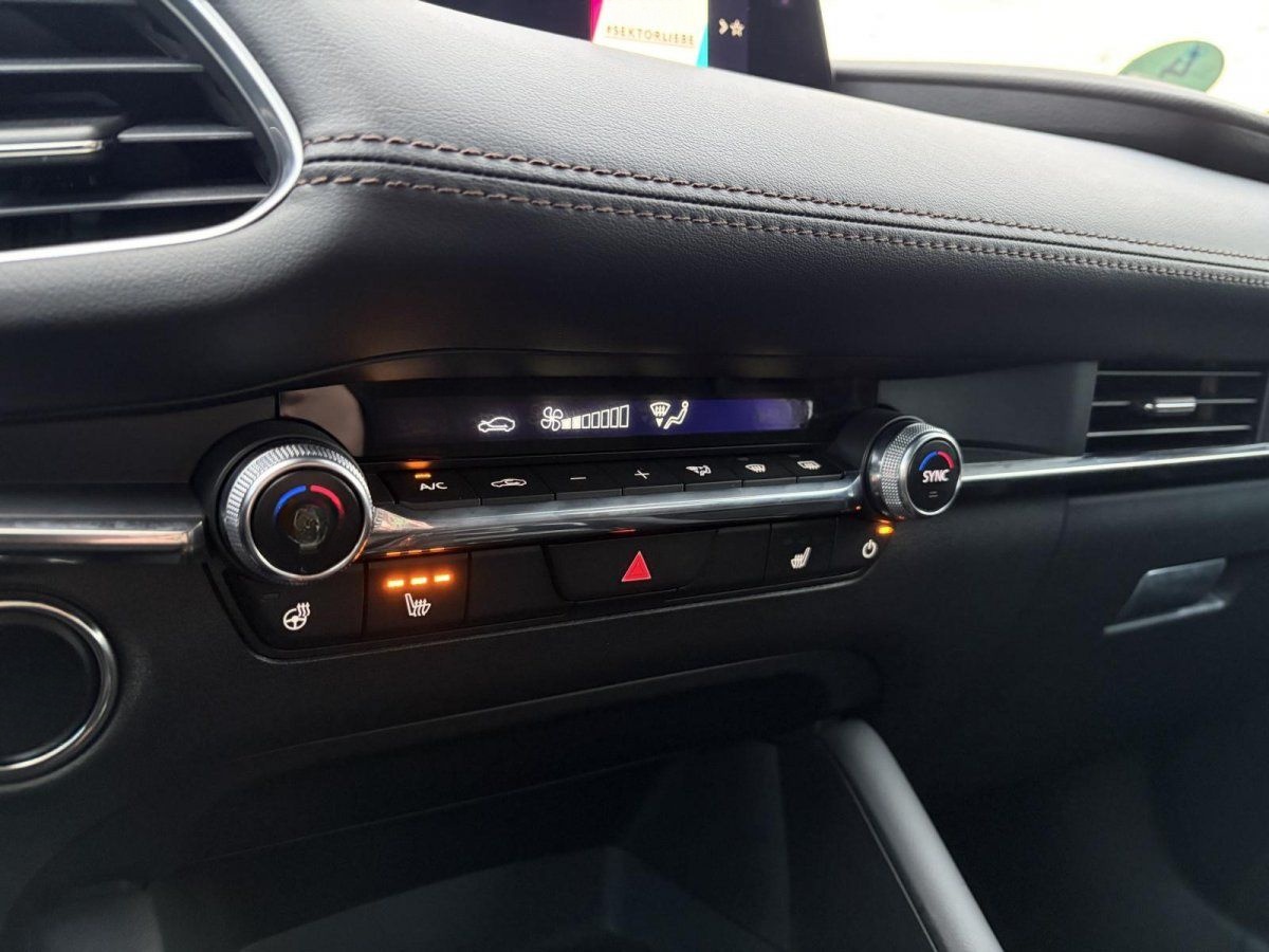 Mazda 3 | VFW | Exclusive-Line | Design-Paket | BOSE foto 17