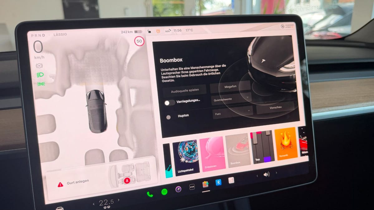 Tesla Model 3 Long Range Dual AWD foto 25