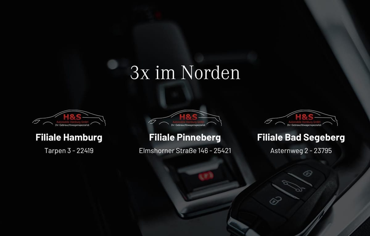 Tesla Model 3 Long Range Dual AWD foto 5