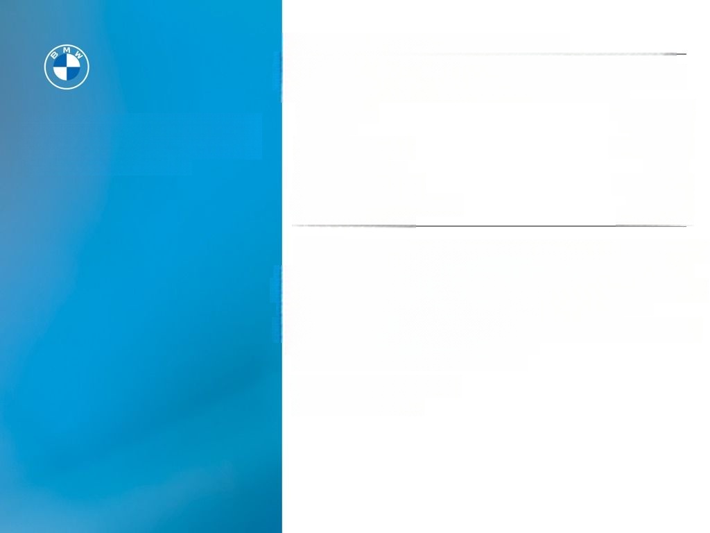 BMW 530d Touring M Sport LiveCockpitProf Kamera foto 14