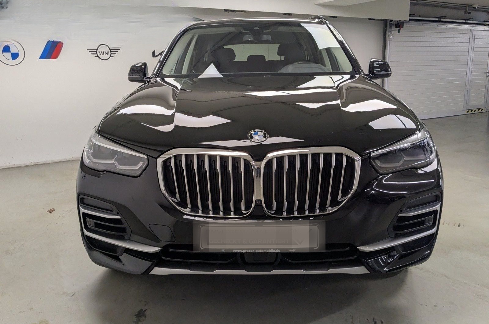 BMW X5 xDrive25d xLine PA+ 360° DAB LED 19'' Shz WLA foto 3
