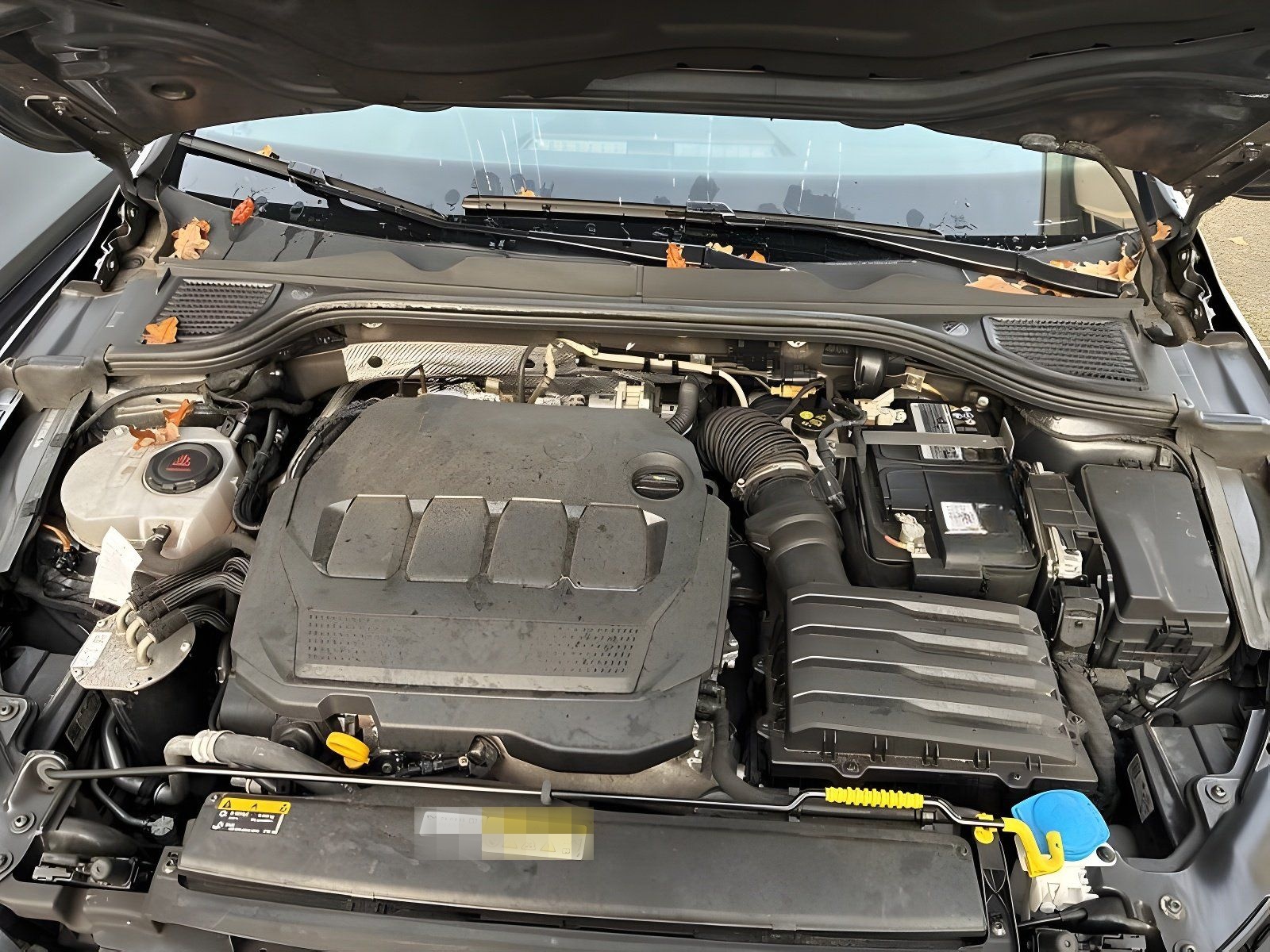 Volkswagen Golf VIII Variant 2.0 TDI Life DSG ACC/LED foto 9