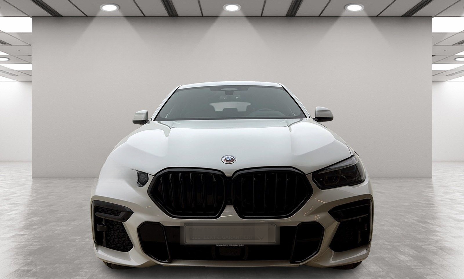 BMW X6 xDrive40d M Sport Driv.Assist.Prof Harman/K foto 7