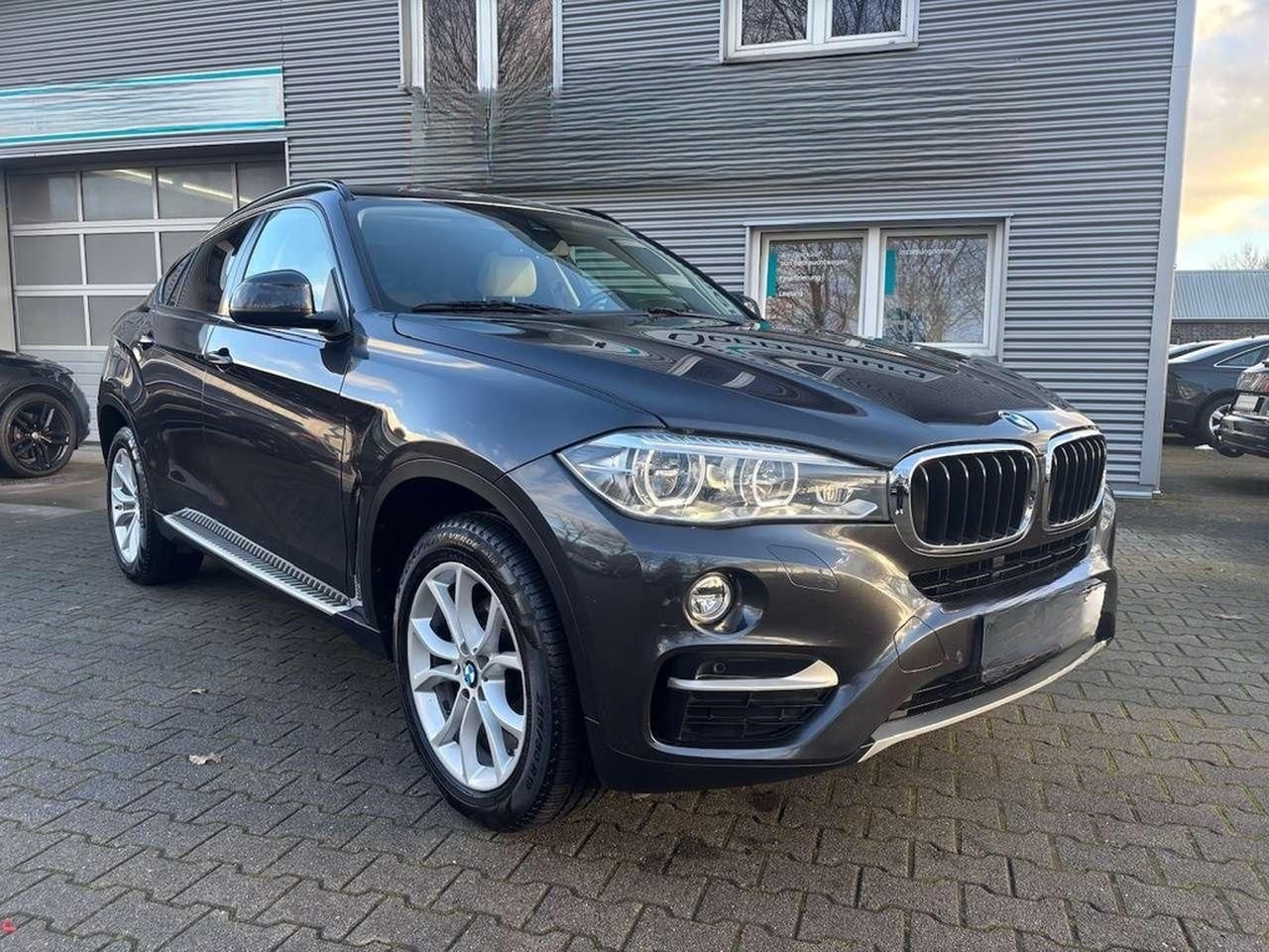 BMW X6 xDrive30d Steptronic Sport-Automatic foto 2