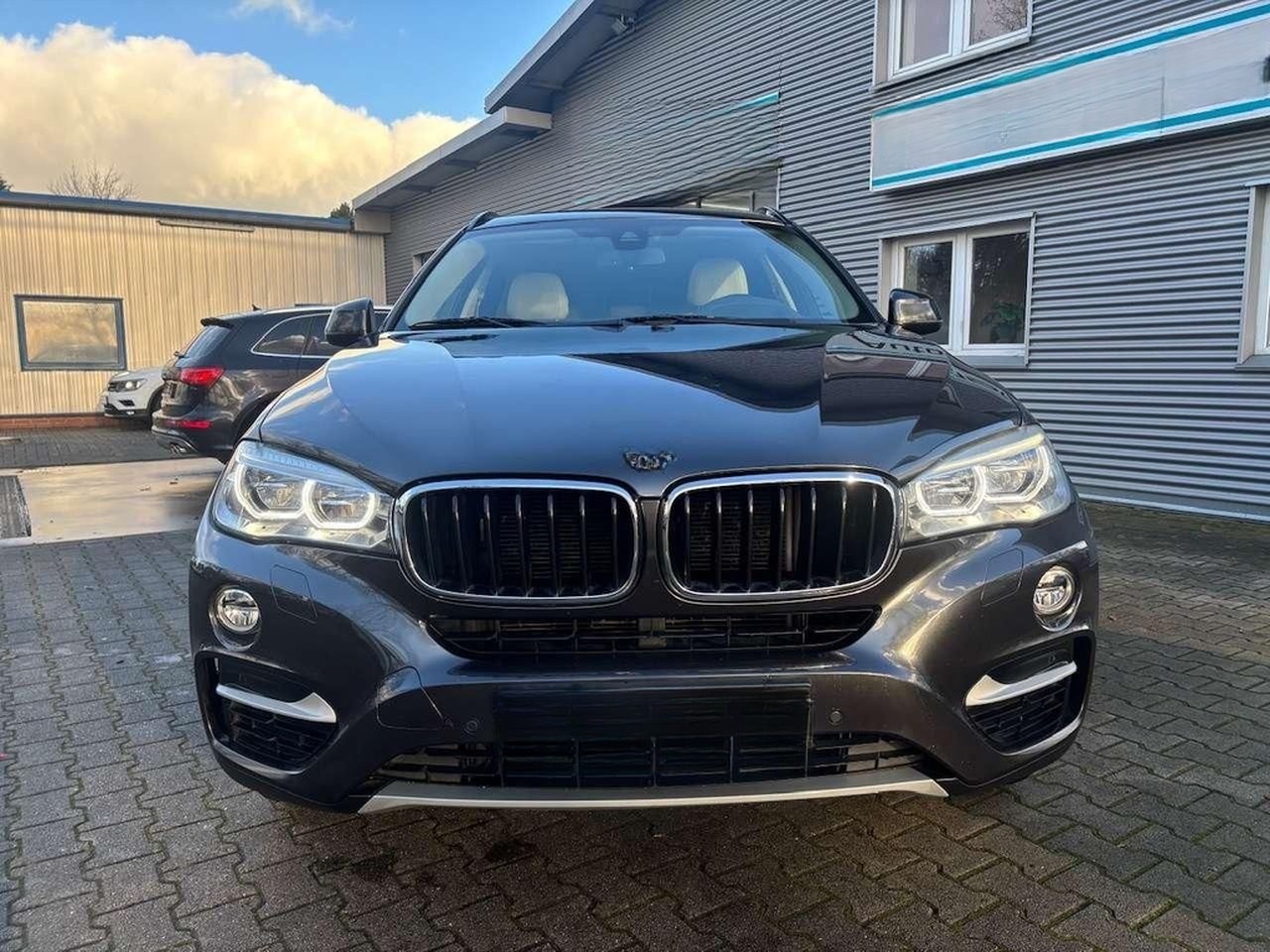 BMW X6 xDrive30d Steptronic Sport-Automatic foto 3