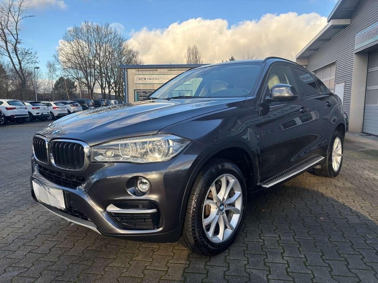 BMW X6 xDrive30d Steptronic Sport-Automatic foto 4