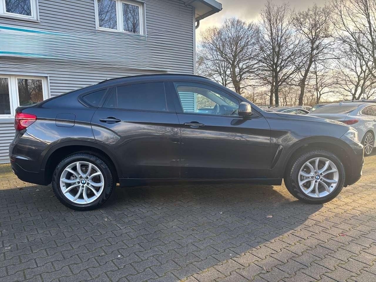BMW X6 xDrive30d Steptronic Sport-Automatic foto 8