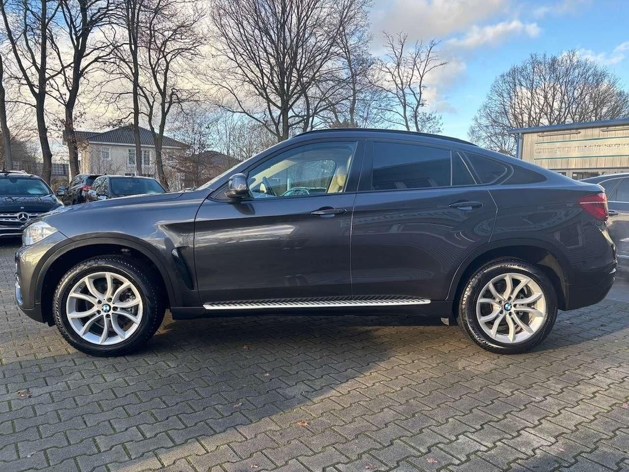BMW X6 xDrive30d Steptronic Sport-Automatic foto 9
