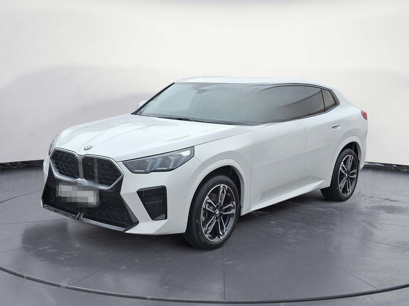 BMW X2 sDrive20i Steptronic M SPOR Head-Up Iconic Gl foto 2