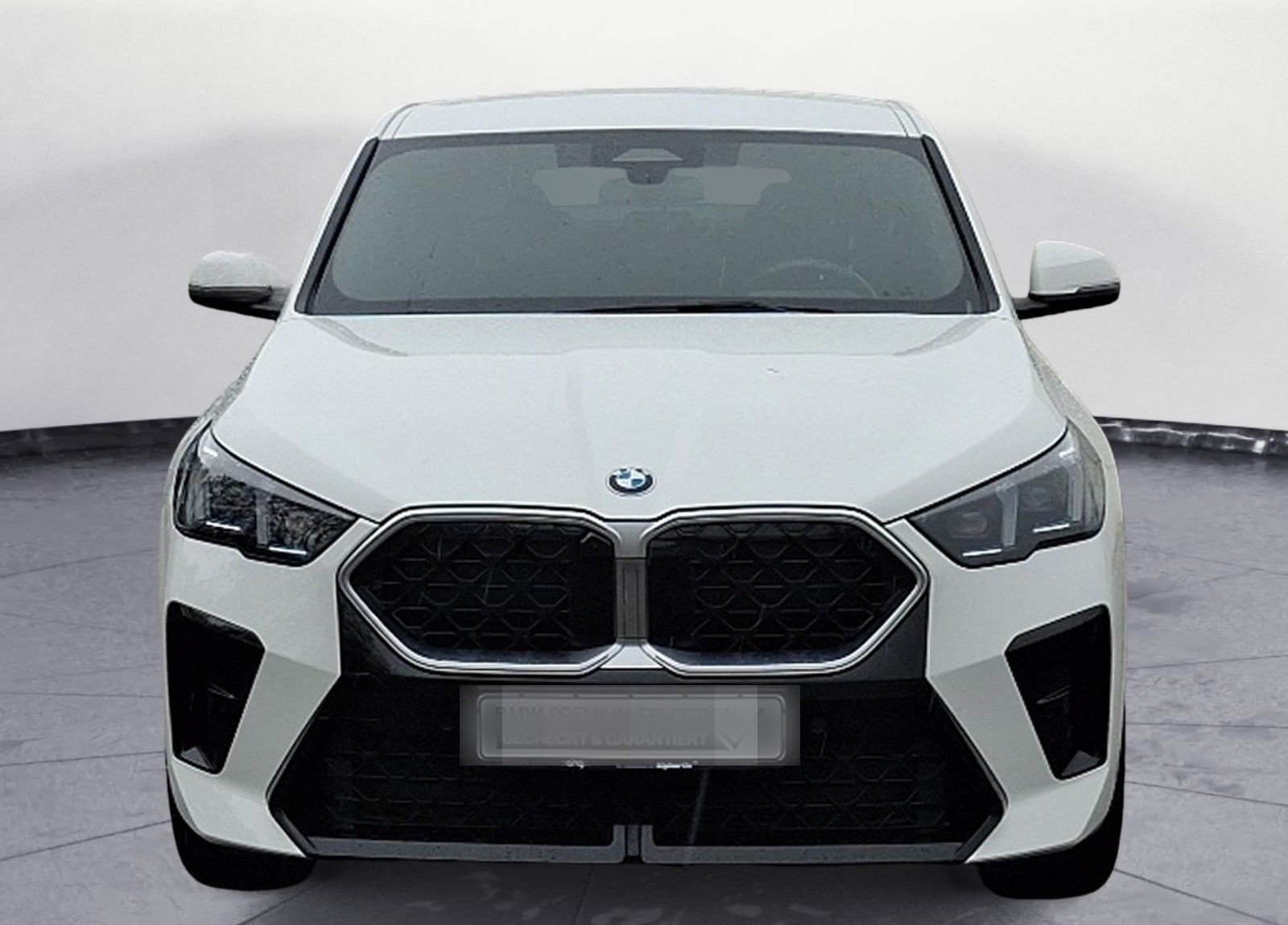 BMW X2 sDrive20i Steptronic M SPOR Head-Up Iconic Gl foto 7