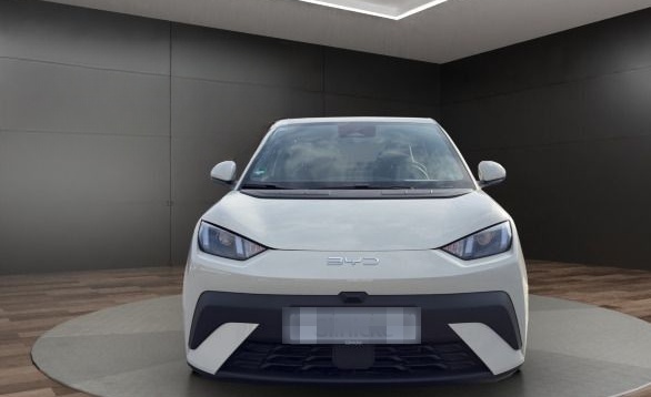 BYD Dolphin Surf Active foto 2