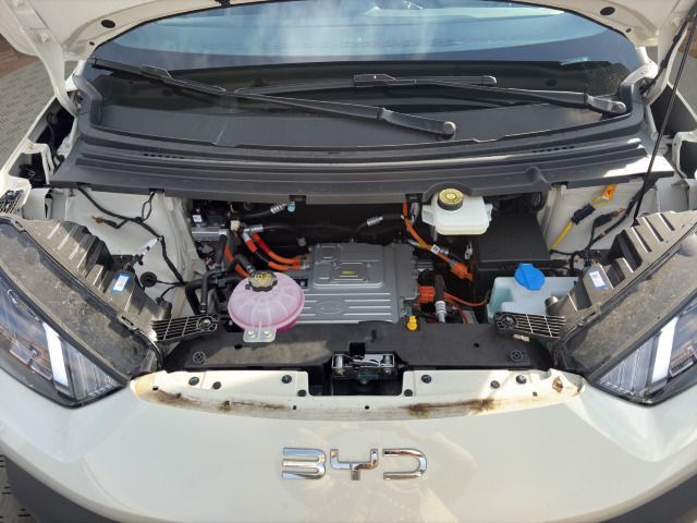 BYD Dolphin Surf Active foto 20