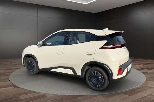 BYD Dolphin Surf Active foto 4