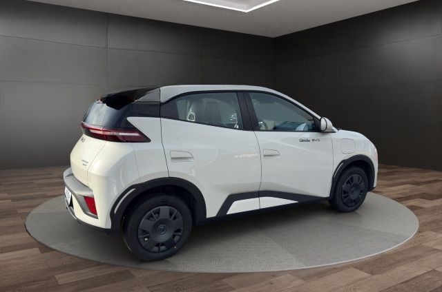 BYD Dolphin Surf Active foto 6