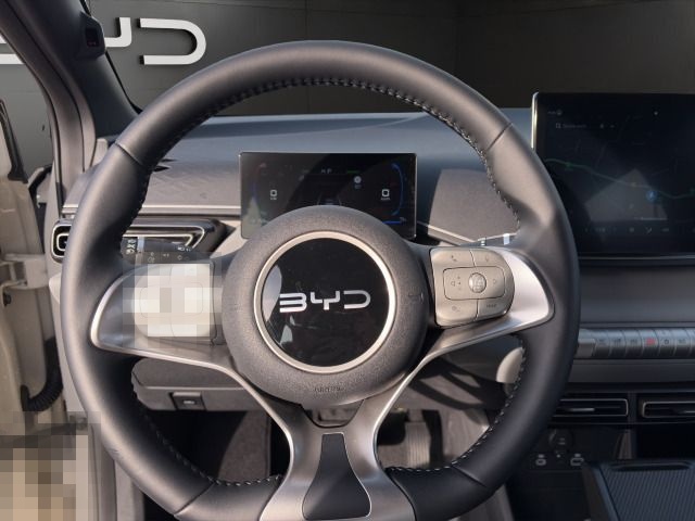 BYD Dolphin Surf Active foto 10