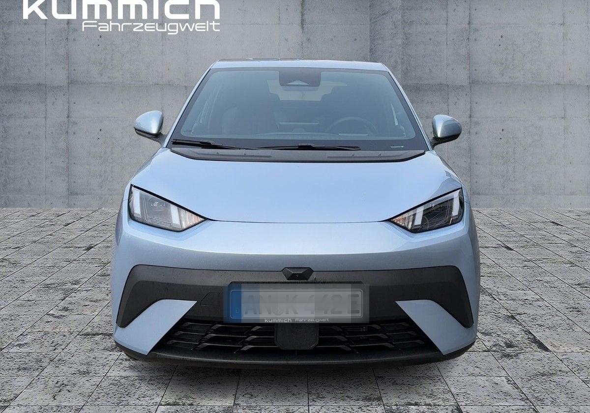 BYD DOLPHIN SURF Comfort foto 2