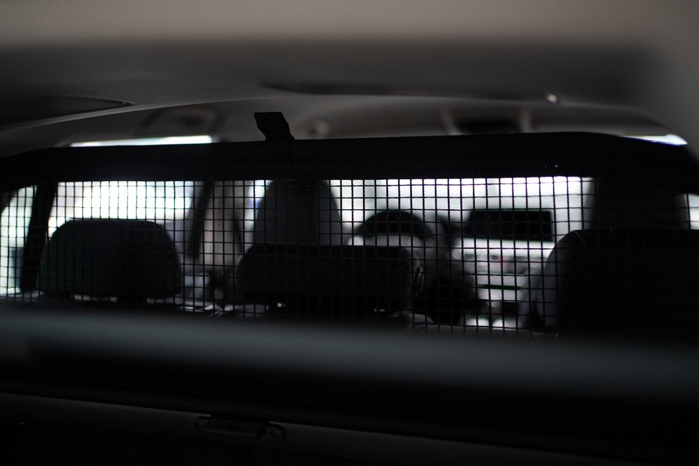 BMW 530d xDrive +ParkingAssist+AHK+HarmanKardonSyste foto 18