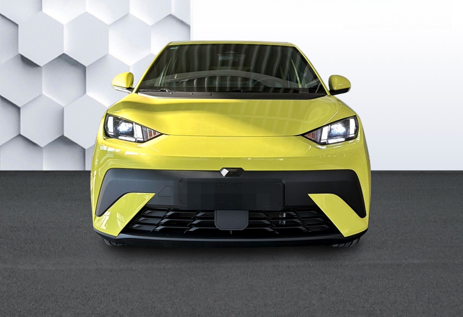 BYD DOLPHIN SURF Comfort foto 2