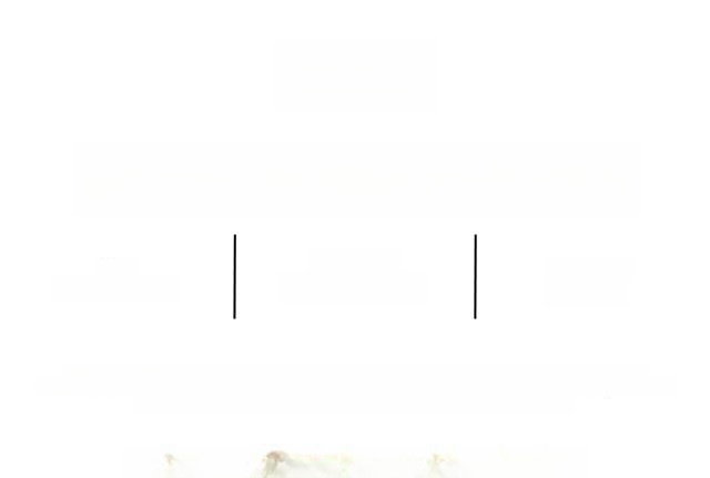 Audi A6 Avant 50 TFSI e q. S-Tronic S-Line, Matrix, A foto 4