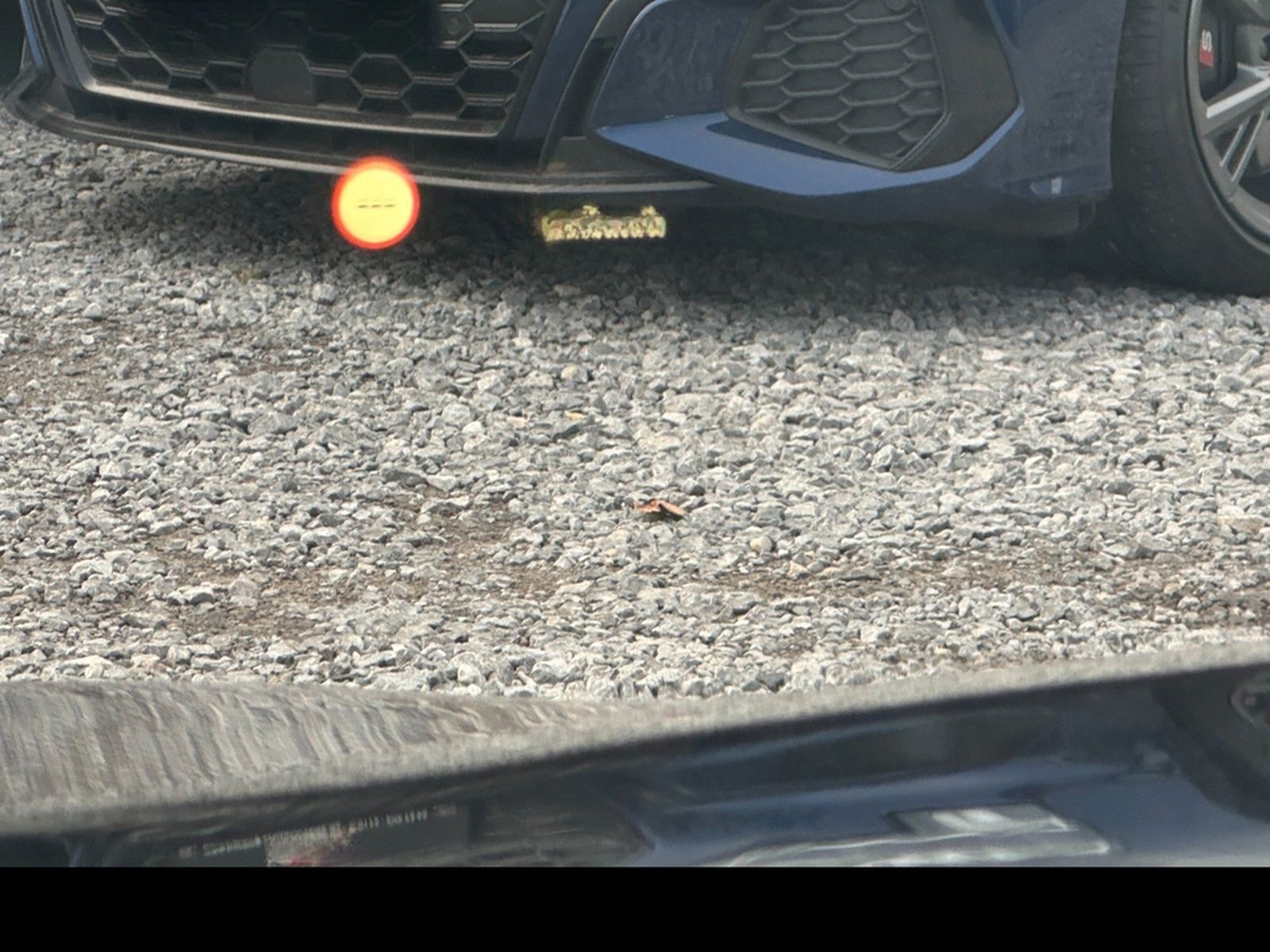 BMW 640XD M-Sport Cabrio | 20 Felgen | FACELIFT foto 23
