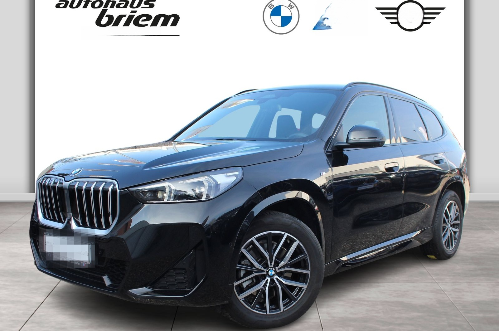 BMW X1 sDrive20i M Sport HeadUP 360°K ServicePaket H