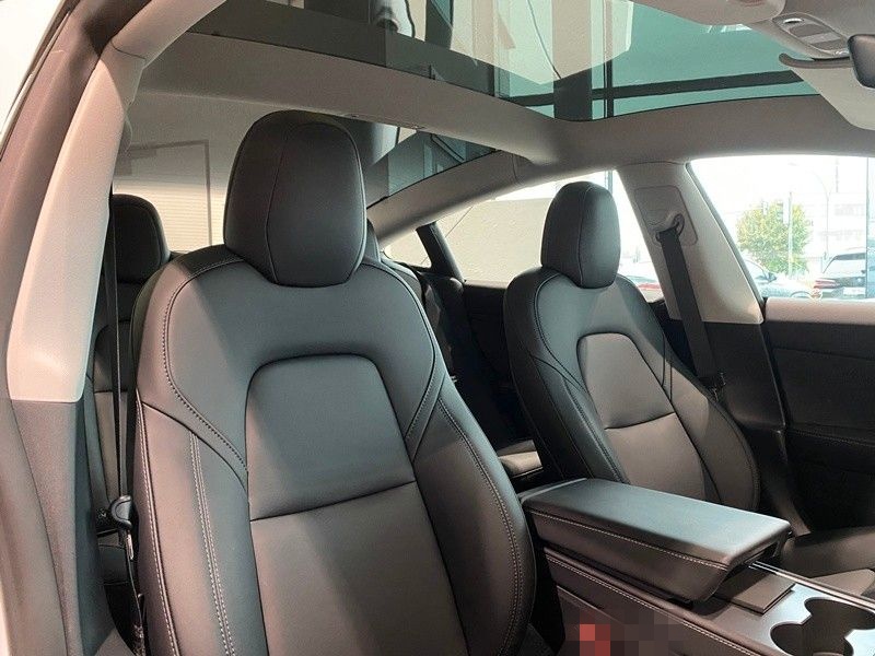 Tesla Model 3 AWD Performance Dual Motor Pano ACC 20" foto 21