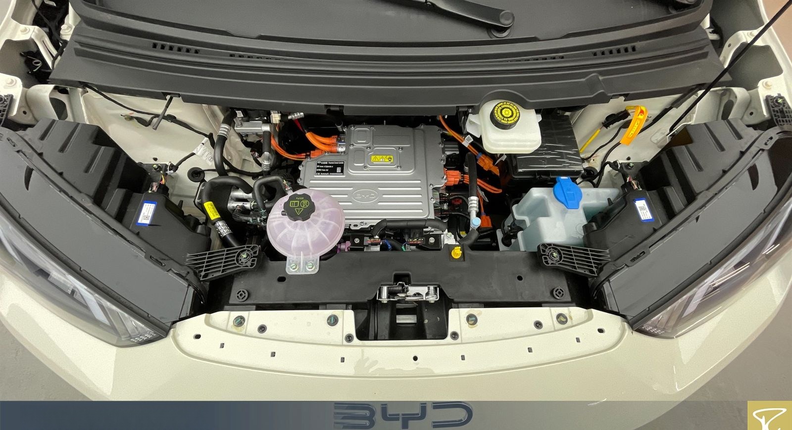 BYD Dolphin Surf Comfort Autom foto 7