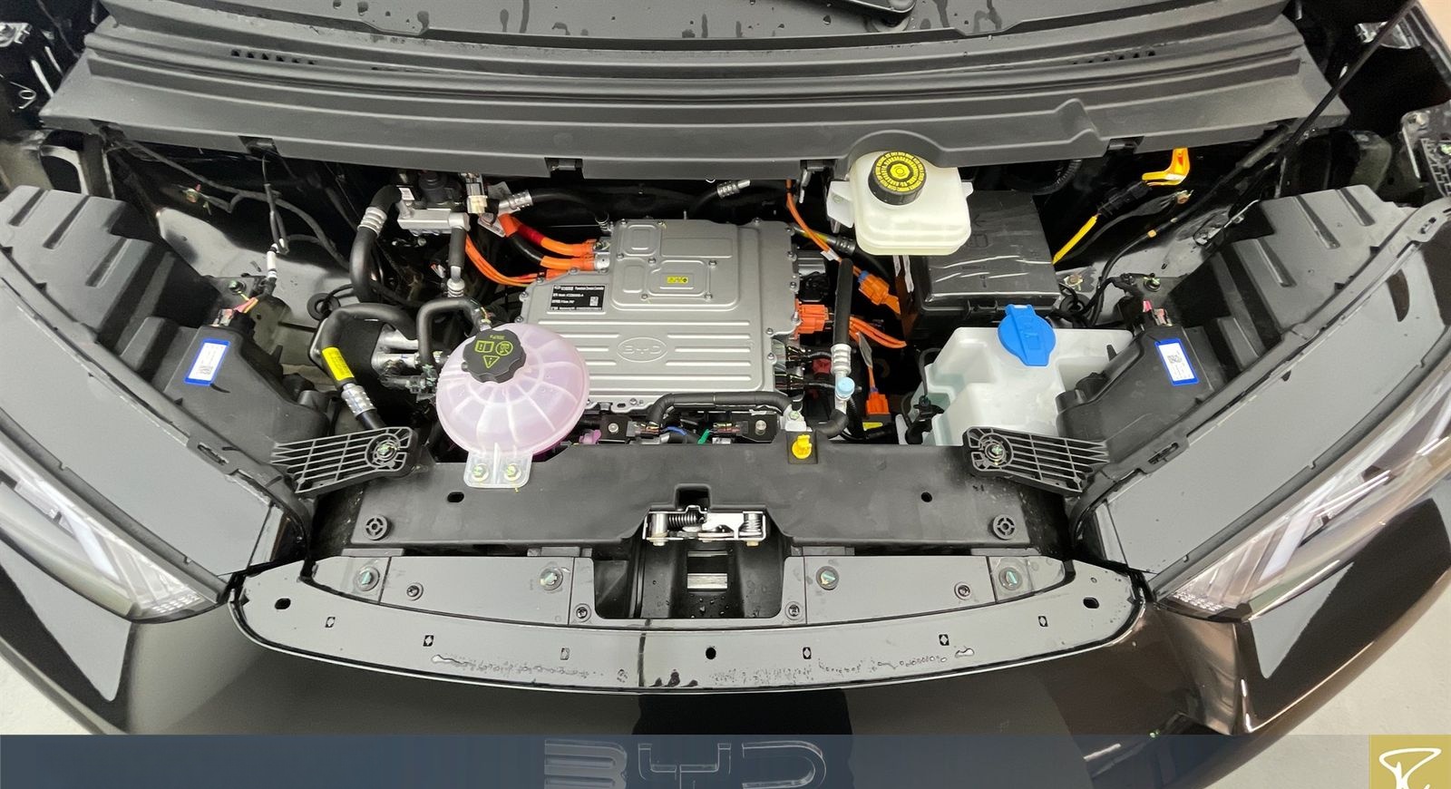 BYD Dolphin Surf Comfort Autom foto 7