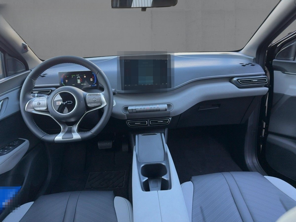 BYD DOLPHIN SURF Boost foto 8