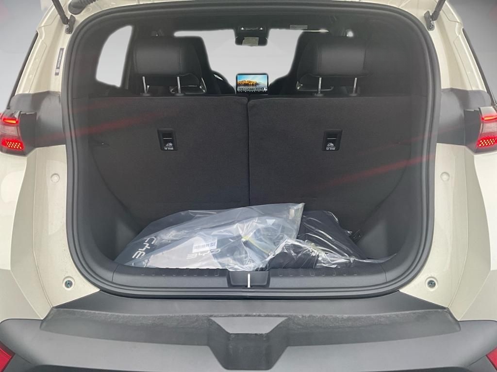 BYD DOLPHIN SURF Comfort 360 AUT DynLicht KeyLess foto 12