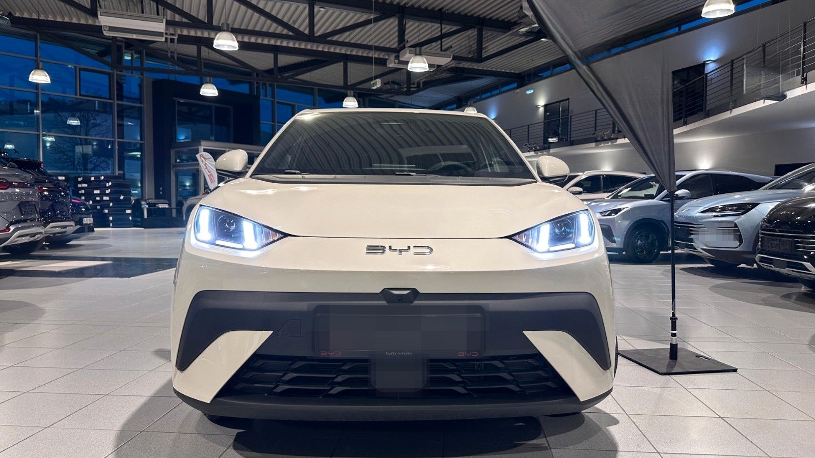 BYD DOLPHIN Surf Boost Tageszulassung foto 2