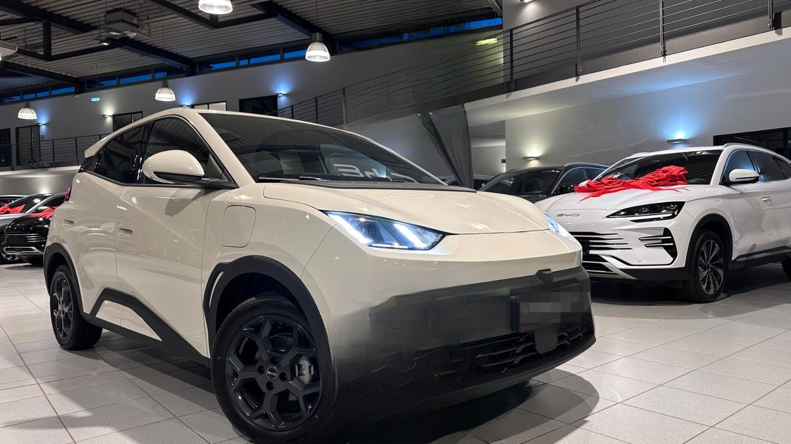 BYD DOLPHIN Surf Boost Tageszulassung foto 3