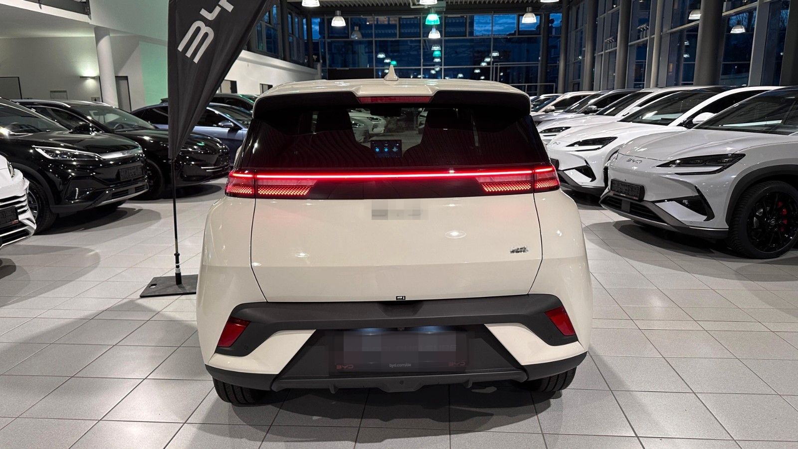 BYD DOLPHIN Surf Boost Tageszulassung foto 6