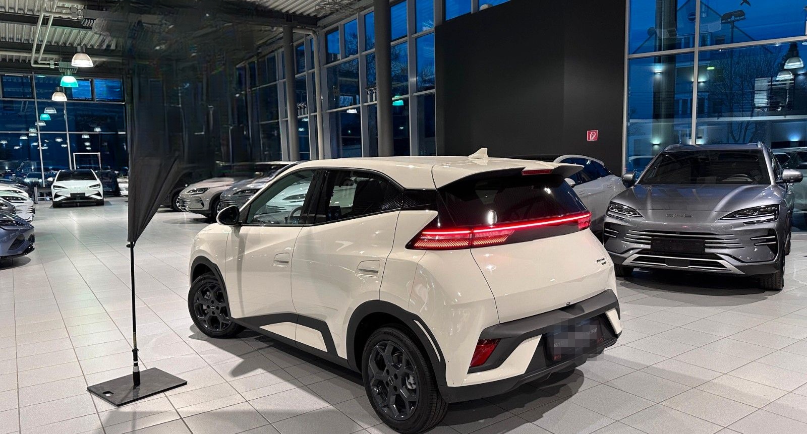 BYD DOLPHIN Surf Boost Tageszulassung foto 5