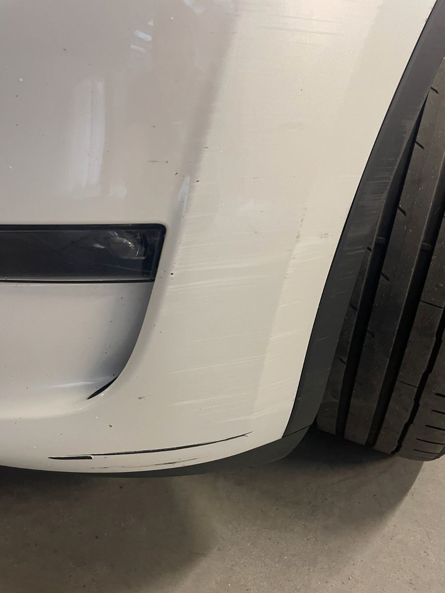 Tesla Model Y Long Range Dual Motor AWD Autopilot Glas foto 7