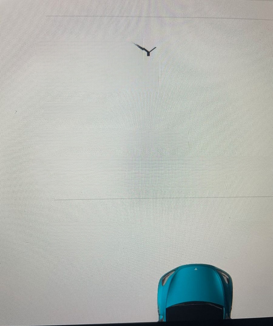 Tesla Model Y Long Range Dual Motor AWD Autopilot Glas foto 10