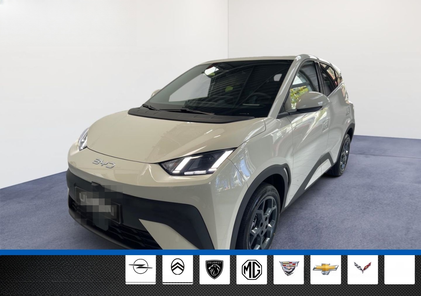 BYD Dolphin Surf 115KW Comfort Leder Navi Sitzheizun foto 2