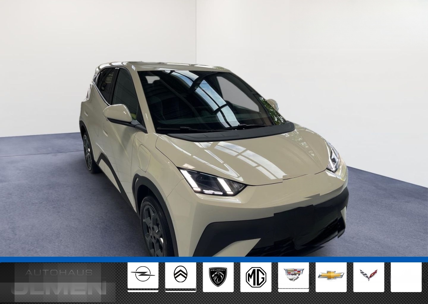 BYD Dolphin Surf 115KW Comfort Leder Navi Sitzheizun foto 3