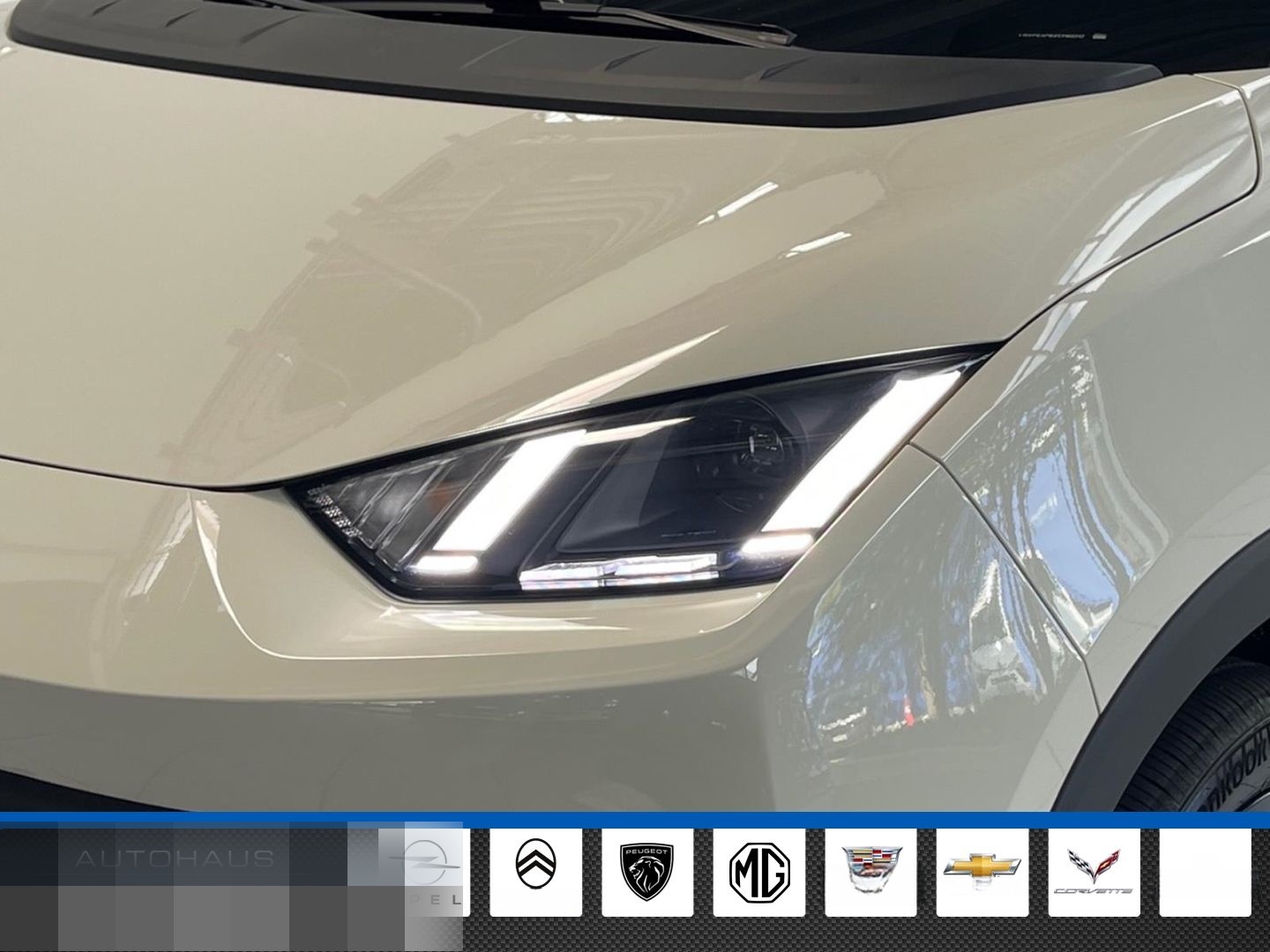 BYD Dolphin Surf 115KW Comfort Leder Navi Sitzheizun foto 6