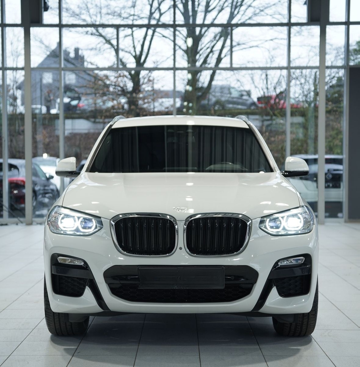 BMW X3 xD 20 i M Sport *H-UP *HiFi *Business-P foto 3