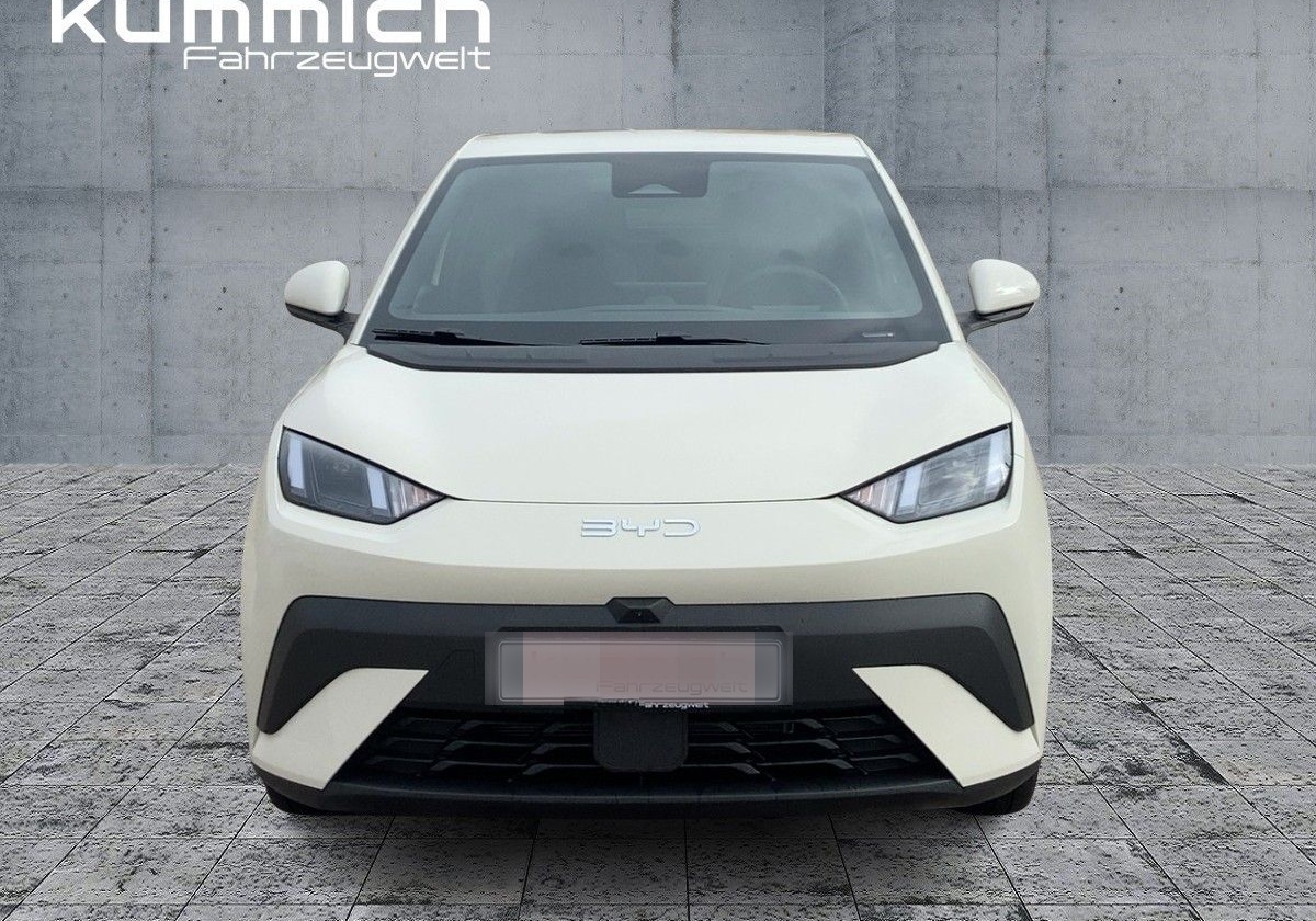 BYD DOLPHIN SURF Boost foto 2