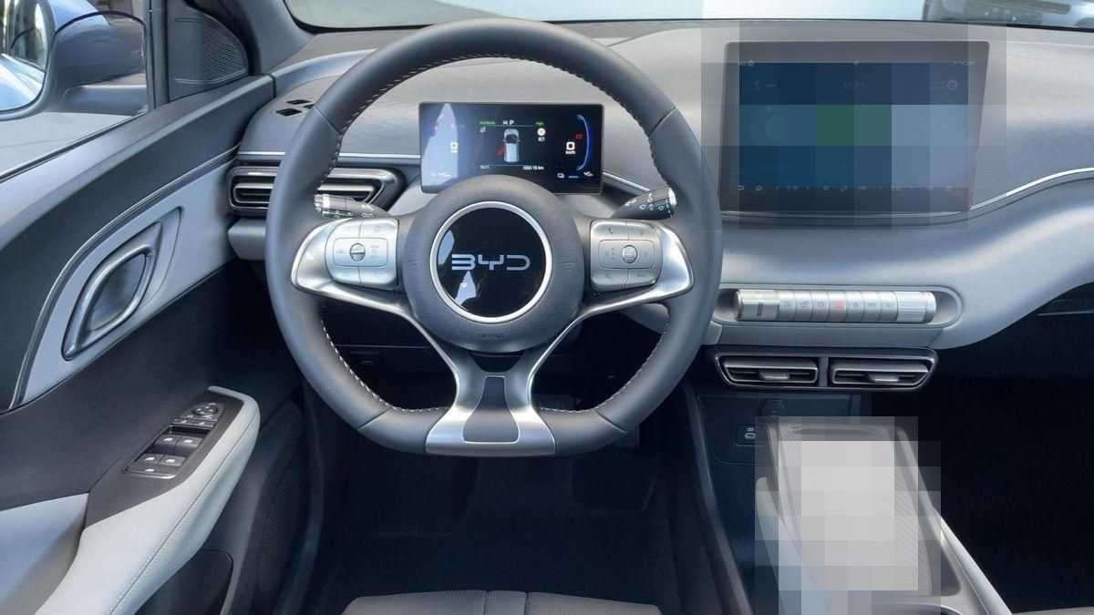 BYD Dolphin Surf Sofort Lieferbar Boost Alu Link NAV foto 9