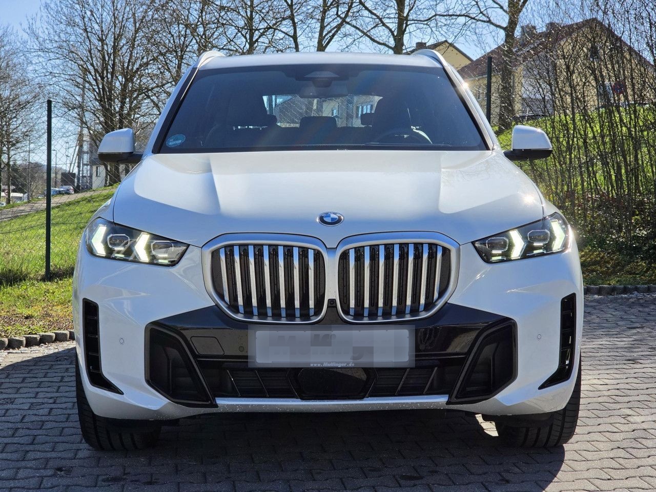 BMW X5 x30d M Sport HUD Park-Prof.SoftCl.H/K AHK 20" foto 2