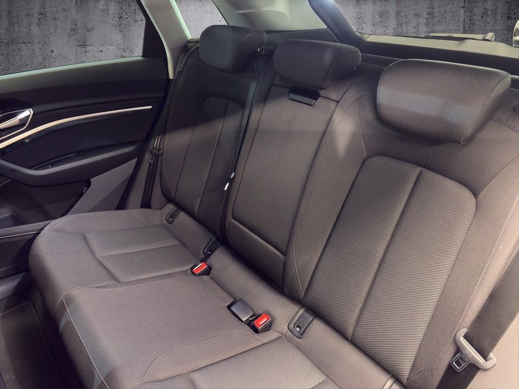 Audi e-tron 55 quattro advanced AHK+Navi+Kamera foto 11