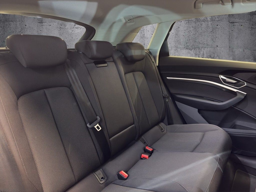 Audi e-tron 55 quattro advanced AHK+Navi+Kamera foto 10